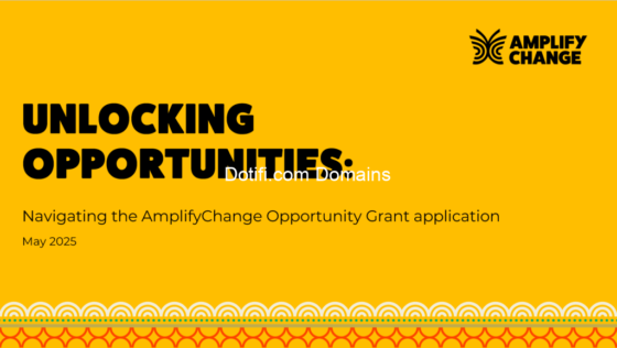 Grant : AmplifyChange Opportunity Grant 2025