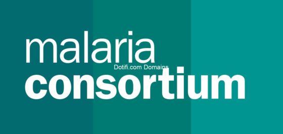 Program Officer (Consultant) at Malaria Consortium