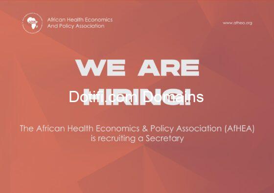 AfHEA Secretary  – Remote at African Health Economics & Policy Association (AfHEA)