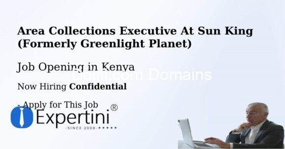 Area Collections Executive at Sun King (Formerly Greenlight Planet)