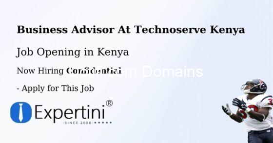 Business Advisor – PREP at TechnoServe (8 Openings)