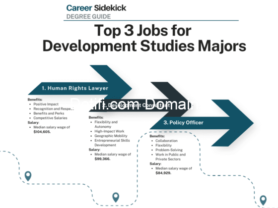 Lead Consultants at Global Peace Development (4 Openings)