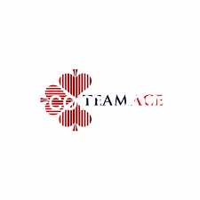 Sales Trainee (Entry Level) at a Leading Fintech Loan Agency – TeamAce Limited