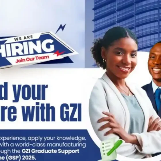 2025 GZI Graduate Trainee Support Programme (GSP)